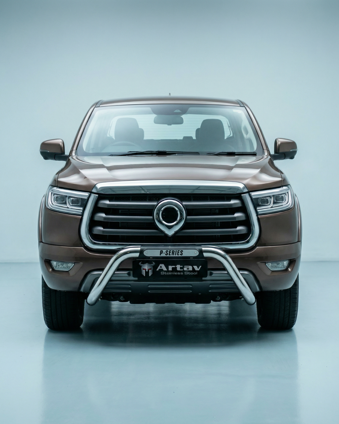 GWM P-Series Nudge Bar Stainless 2021 >