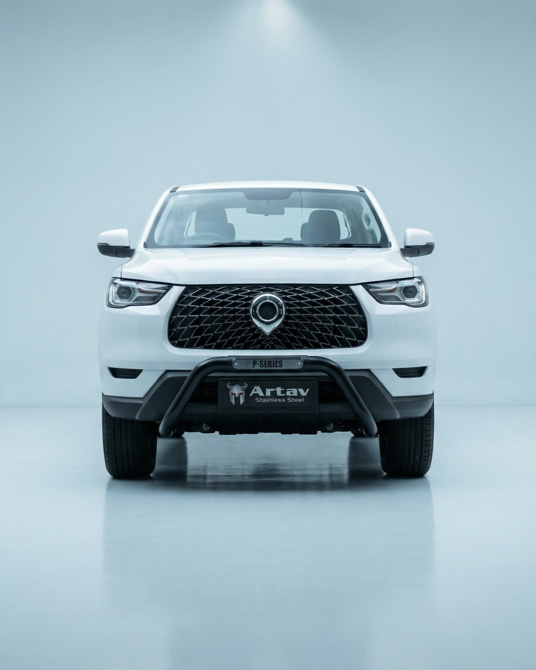 GWM P-Series Nudge Bar Black 2021 >