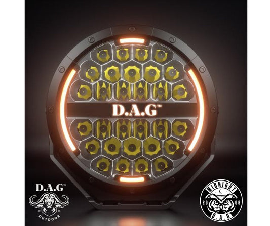 Midnight 9" LED Spotlight Set